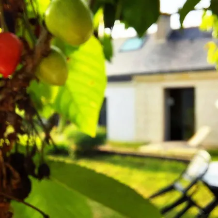 Holiday home Charmante Maison Au Calme Avec Jardin Les Alleuds (Maine-et-Loire)