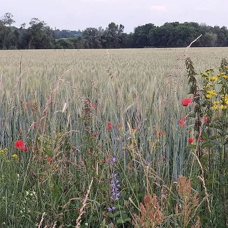 Charmante Maison Au Calme Avec Jardin Les Alleuds (Maine-et-Loire)