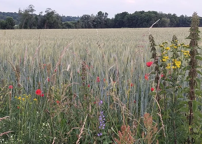 Charmante Maison Au Calme Avec Jardin Les Alleuds (Maine-et-Loire)